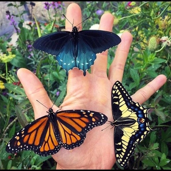 Meet your Posher, Manuela - Picture 1 of 1